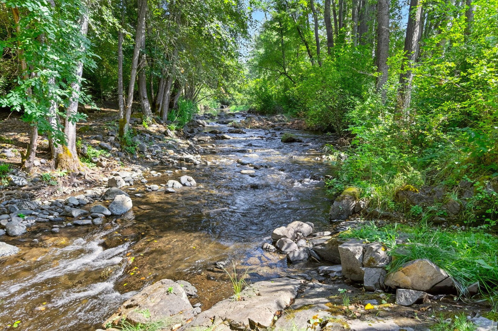 River Photo of Ashland Oregon